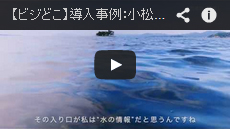 ビジどこ