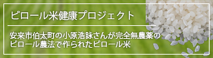 ピロール米